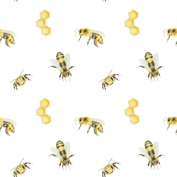 Méz Méhek Akvarell Mintázata Kézzel Rajzolt Elszigetelt Fehér Háttérrel Nagyszerű — Stock Fotó