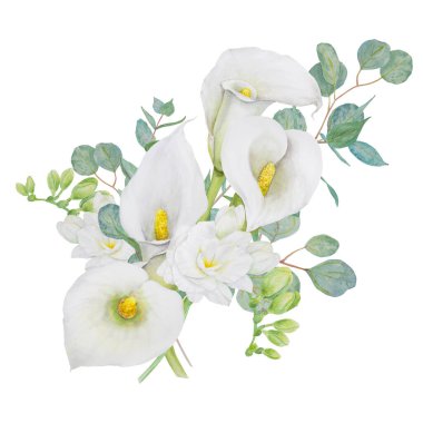 Beyaz zambak çiçekleri ve okalidin suluboya bir parçası. Düğün davetiyeleri, çiçekçi salonları, kozmetik ürünleri ve güzellik için elle çizilmiş resimler. İzole bileşim tropikal su arumu