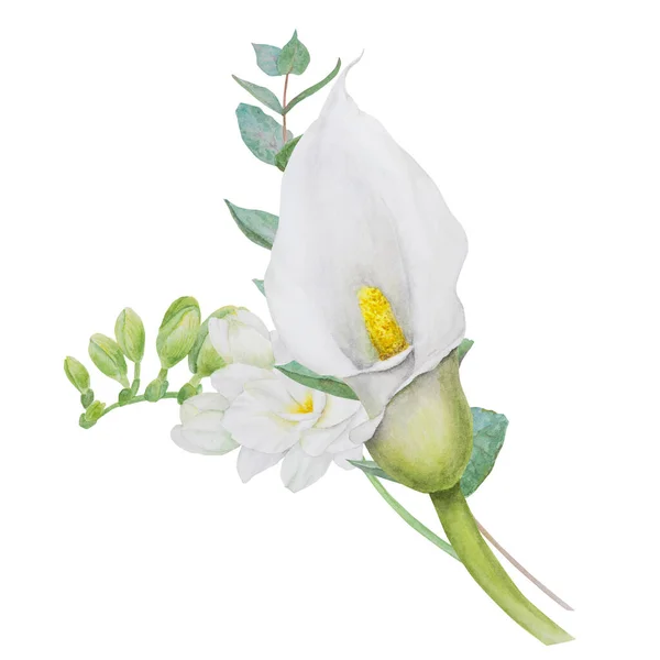 白コラユリの花やユーカリの花の花色の一部 結婚式の招待状 花屋のサロン 化粧品 美しさのための手描きの花のイラスト 分離組成熱帯水アルミ — ストック写真