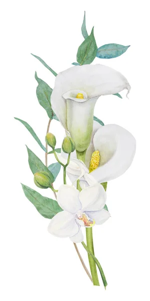 白コラユリ ランの花やユーカリの花の水彩画の一部 結婚式の招待状 花屋のサロン 化粧品 美しさのための手描きの花のイラスト 分離組成熱帯水 — ストック写真