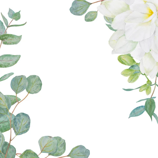 Clipart Acuarela Flores Freesia Blanca Ramas Eucalipto Pintura Floral Dibujada — Foto de Stock