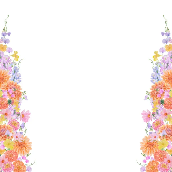 Υδατογραφία Βοτανικό Πολύχρωμο Πλαίσιο Των Καλοκαιρινών Και Φθινοπωρινών Λουλουδιών Dahlia — Φωτογραφία Αρχείου