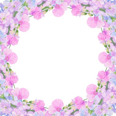 Suluboya botanik renk çerçeveli preety bahçe çiçekleri: mavi ve leylak gillyflower ve pembe lathyrus Düğün baskısı ürünleri, kağıt, davetiyeler, selamlar, kumaş, posterler, tekstil