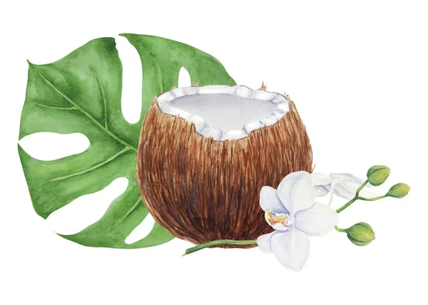 モンステラの葉と白い蘭の枝で壊れたココナッツの半分 熱帯植物の手描きの水彩画は白で分離しました リラックス 美容ビジネスのためのエキゾチックなオブジェクト — ストック写真