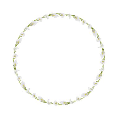 Beyaz zambak çiçeklerinin suluboya çerçevesi. Düğün davetiyeleri için el çizimi çelenkler, çiçekçiler, güzellik salonları. Tropikal su arumunun izole bileşimi. Etiket ve paketleme için botanik sanatı