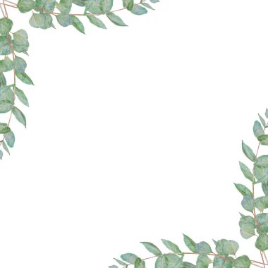Nane yeşili okaliptüs dallarından suluboya çerçeve. Düğün davetiyeleri, çiçekçiler, güzellik salonları için el çizimi resimler. Selamlar, baskılar, labirentler, posterler için kesme sanatı