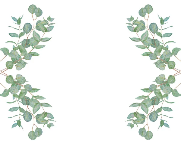 Υδατογραφία Πλαίσιο Από Πράσινα Κλαδιά Ευκαλύπτου Μέντας Χειροποίητη Floral Εικονογράφηση — Φωτογραφία Αρχείου