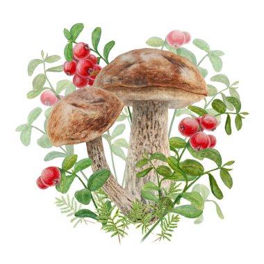 Suluboya el, orman böğürtlen ve mantar bileşimi çizmiş. Kırmızı juisy ve boletus 'un gerçekçi botanik çizimi. Kumaş, kartpostallar, davetiyeler, menüler için harika.