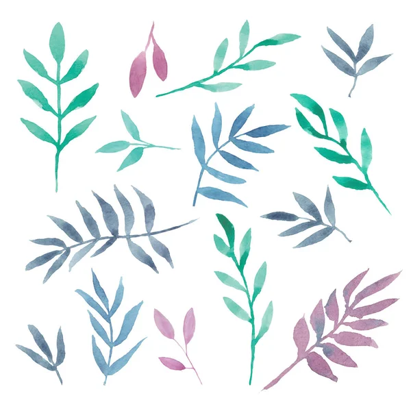 Акварельные Декоративные Эвкалипты Пальмовые Ветви Разноцветными Листьями Фиолетовый Мятный Синий — стоковое фото