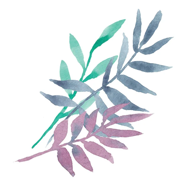 Акварельные Декоративные Эвкалипты Пальмовые Ветви Разноцветными Листьями Фиолетовый Мятный Синий — стоковое фото