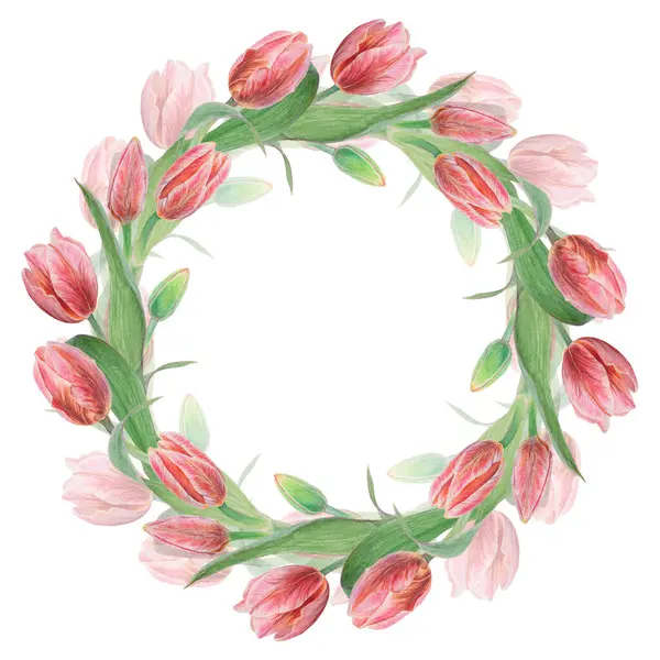 Illustrazione Botanica Realistica Acquerello Tulipano Rosa Isolato Sfondo Bianco Vostro — Foto Stock