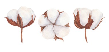 Pamuk, suluboya illüstrasyon yapar. Düğün baskısı tasarımları, selamlar, davetiyeler, kartlar, etiketler için el yapımı klip sanatları. Rusça resim, Boho, İskandinav tarzı. Kış dekorasyonu için iyi..