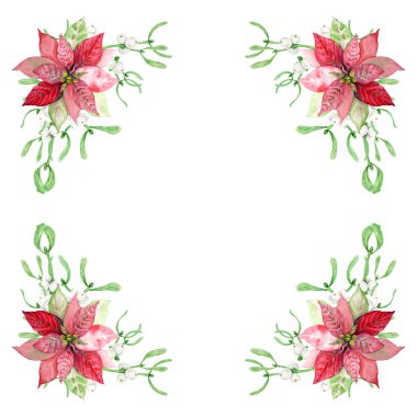 Poinsettia ve Ökseotu 'nun yapraklı ve beyaz meyveli dalları. Suluboya el, Noel sembolünün botanik çizimi. Kış baskıları, selamlar, davetiyeler için tırman.