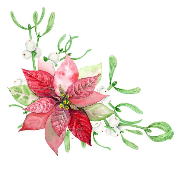 Red of Poinsettia and Mistletoe evergreen branches with leaves and white berries. Watercolor hand drawn botanical illustration of Christmas symbol. Clipart for winter prints, greetings, invitations.