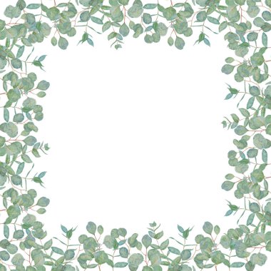 Nane yeşili okaliptüs dallarından suluboya çerçeve. Düğün davetiyeleri, çiçekçiler, güzellik salonları için el çizimi resimler. Selamlar, baskılar, labirentler, posterler için kesme sanatı