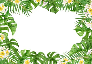 Yeşil Palm ve Monstera yaprakları, frangipani çiçekleri. Seyahat rehberleri, kozmetik, spa, masaj salonu baskıları, düğün davetiyeleri, kartlar, tekstil için suluboya el çizimi