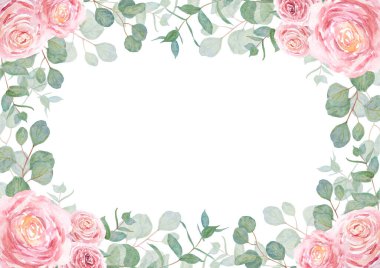 Okaliptüs ve güllerin dalları suluboya el çizimi. Yeşil yaprakların botanik tablosu, pembe çiçekler. Düğün davetiyeleri, baskılar, selamlar, tekstil kadar iyi.