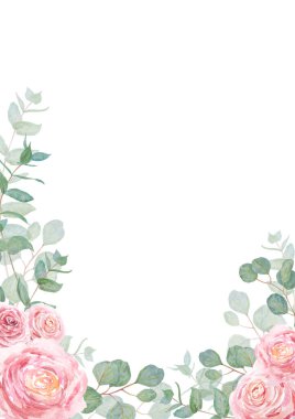 Okaliptüs ve güllerin dalları suluboya el çizimi. Yeşil yaprakların botanik tablosu, pembe çiçekler. Düğün davetiyeleri, baskılar, selamlar, tekstil kadar iyi.