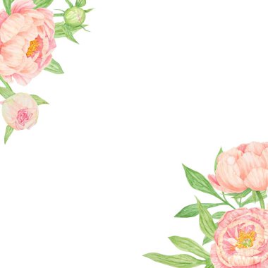 Şeftalili şakayıklı suluboya el çizimi. Gerçekçi çiçek iklimi, çiçek aranjmanı. Çin ulusal sembolü. Kart tasarımı için mükemmel, düğün davetiyesi, parmak izi, tekstil, paketleme.