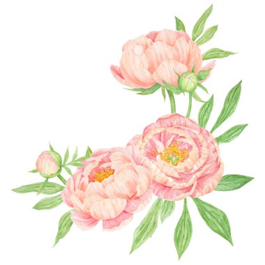 Şeftalili şakayıklı suluboya el çizimi. Gerçekçi çiçek iklimi, çiçek aranjmanı. Çin ulusal sembolü. Kart tasarımı için mükemmel, düğün davetiyesi, parmak izi, tekstil, paketleme.