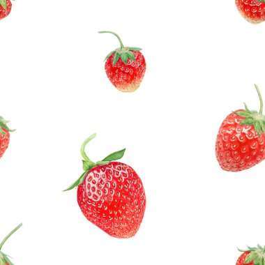 Kırmızı çilekli el suluboya çizimi. Lezzetli yemek sanatı, taze botanik gerçekçi resim. Lokanta, kafe menüsü, tarım ürünleri paketi, vejetaryen...