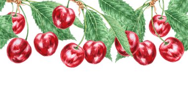 Kırmızı kiraz. Sulu el çizimi suluboya çizimi. Lezzetli yemek sanatı, taze botanik gerçekçi resim. Restoran menüsü için yaz meyvesi tırpanı, tarım ürünlerinin ambalajı, vegan ürünleri