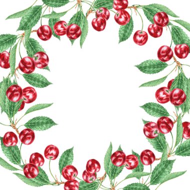 Kırmızı kiraz. Sulu el çizimi suluboya çizimi. Lezzetli yemek sanatı, taze botanik gerçekçi resim. Restoran menüsü için yaz meyvesi tırpanı, tarım ürünlerinin ambalajı, vegan ürünleri