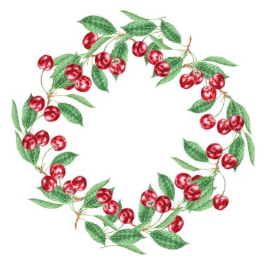 Kırmızı kiraz. Sulu el çizimi suluboya çizimi. Lezzetli yemek sanatı, taze botanik gerçekçi resim. Restoran menüsü için yaz meyvesi tırpanı, tarım ürünlerinin ambalajı, vegan ürünleri