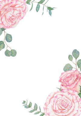 Açık pembe gül. Suluboya botanik illüstrasyon. El yapımı şarjör, kesilmiş ve izole edilmiş. Hassas düğün baskıları, davetiyeler, kartlar için gerçekçi çiçek çizimi. Romantik tasarım ögesi