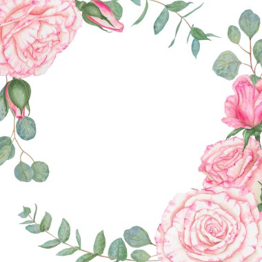 Açık pembe gül. Suluboya botanik illüstrasyon. El yapımı şarjör, kesilmiş ve izole edilmiş. Hassas düğün baskıları, davetiyeler, kartlar için gerçekçi çiçek çizimi. Romantik tasarım ögesi