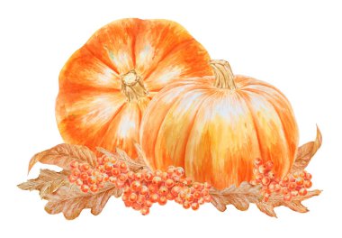 Beyaz balkabakları, kızılcık çilekleri, kuru kahverengi yapraklar. El çizimi suluboya klip sanatı, sonbahar sebzeleri ve bayrak şablonu için bitkiler, cadılar bayramı baskıları, tarım ürünleri paketleme.