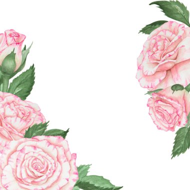 Açık pembe gül tomurcukları ve yapraklar. Suluboya botanik illüstrasyon. Elle çizilmiş, kesilmiş, izole. Sancak şablonu için gerçekçi çiçek yuvarlak çerçeve ve düğün izlerinde metin için kopya alanı.