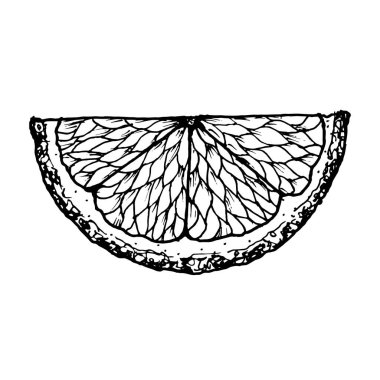 Yaz için mandalina narenciye dilimlerinin, tropikal tasarımların, mutfak dekorunun, gıda paketlemesinin, içeceklerin, Noel baskılarının ve kafeterya menüsü ve kokteyl için çiftlik meyvelerinin mürekkep çizimi.