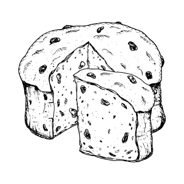 Geleneksel İtalyan Noel pastası Panettone 'un el çizimi mürekkep vektör çizimi. Yeni yıl baskıları, pastane ambalajı, pastane, kafe için uygun kuru üzümlü pasta klip sanatı