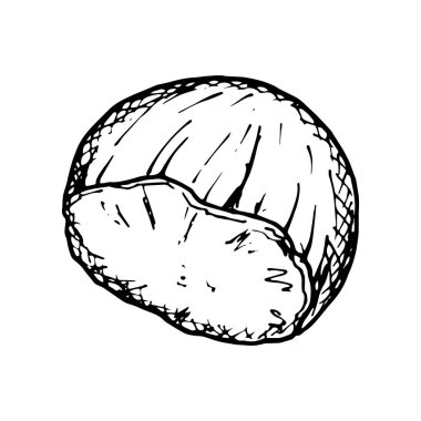Kestane siyah ve beyaz vektör el çizimi, doğal dokuyu vurgulayan detaylı çizgi çalışması. Mevsimlik ya da doğa temalı tasarımlar, eko ürünler, sonbahar ya da kış dekoru, menü için mükemmel.