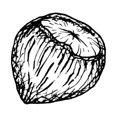 El çizimi, kabuklu fındıkların siyah ve beyaz çizimi, detaylı dokuları ve doğal desenleri gösteriyor. Gıda ambalajı, botanik tasarımlar, yemek tarifi kitapları ya da mutfak projeleri için mükemmel.