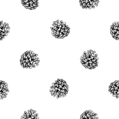 Çam, köknar, sedir konisi, ladin elması. Mürekkeple çizilmiş kusursuz bir el izi. Kozalaklı, yemyeşil orman ağacı elementi. Noel için dekoratif klip, Yeni Yıl baskıları, ekolojik ürünler, ambalaj