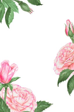 Hand-painted watercolor floral frame featuring pink roses and green leaves. Template with space for text, perfect for wedding invitations, Valentine s Day cards, Mother s Day, Women s Day, or spring clipart