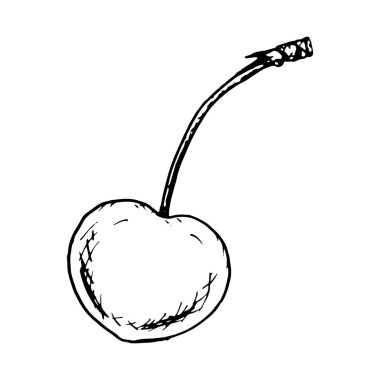 Siyah-beyaz çizilmiş tek bir kirazın zarif mürekkep çizimi. Tarif tasarımları, gıda etiketleri, ambalajlama ve kartlar, baskılar ve yaratıcı projeler için dekoratif unsurlar için mükemmel..
