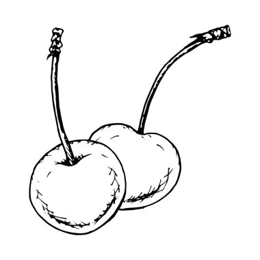 Elle çizilmiş siyah-beyaz vektör çizimi, saplı bir çift kiraz, mürekkep çizimi tarzında yaratılmış. Yemek paketleri, yemek tarifleri, sevgililer günü kartları ve çiftlik tasarım projeleri için mükemmel..