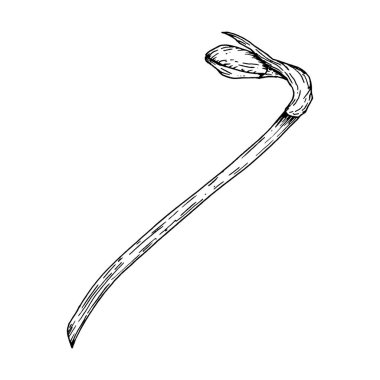 Uzun kıvrımlı bir gövde üzerindeki genç nergis tomurcuğunun mürekkep çizimi, eski bir oyma tarzıyla çizilmiş. Botanik temalar, çiçek kompozisyonları ve doğadan esinlenilmiş tasarımlar için mükemmel. Uygun.