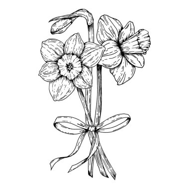 Kurdeleyle bağlanmış nergis çiçeğinin siyah beyaz çizimi. Bahar tebrik kartları, Uluslararası Kadınlar Günü, botanik projeleri, ambalaj ve tatil dekorasyonu için mükemmel..