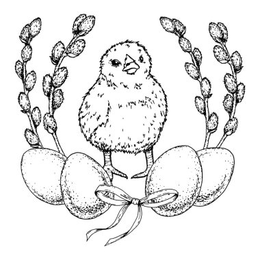 Hand drawn black and white illustration of a fluffy chick with eggs, pussy willow branches and ribbon. Suitable for Easter cards, spring holidays, packaging, prints, crafts and nature projects