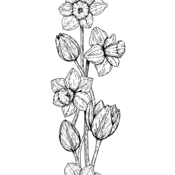 Çiçeksiz, el çizimi bahar çiçekleri nergis ve laleler de dahil. Paskalya, ambalaj, tebrik kartları, sınırlar ve tekstil desenleri için siyah ve beyaz botanik çizimleri