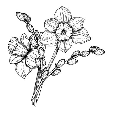 Vector illustration of a spring bouquet with daffodils and pussy willow branches. Hand drawn black and white ink line art. Perfect for Easter, 8 March, greeting cards, and seasonal decor