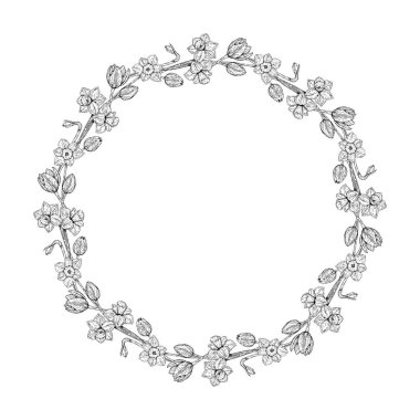 Nergis çiçeği ve tomurcuklarından yapılmış yuvarlak bir çiçeğin vektör çizimi. El, tek renkli mürekkep çizgisi tarzında çizilmiş. Bahar tebrik kartları, Paskalya veya dekoratif tasarım için mükemmel.