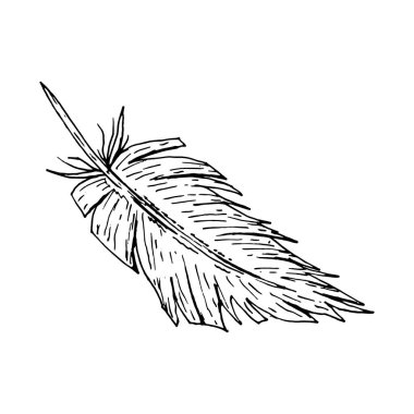 El çizimi tüy çizimi, mürekkep çizimi tarzında. Tekstil tasarımı, çiftlik ve düğün markalaşması, Paskalya grafikleri, boho ambalajlama, el işi projeleri ve kırsal kırsal kırtasiyede kullanılmak üzere tek renkli sanat eserleri