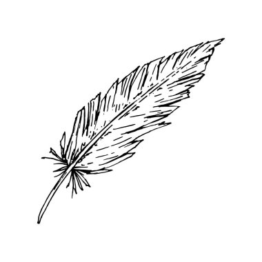 Tek renkli tüy şeklinde mürekkep çizimi. Tekstil baskıları, kırsal kırsal kırsal kırtasiye, boho markalaşması, düğün temaları, Paskalya ambalajı ve çiftlik temalı projeler için uygun el çizimi.
