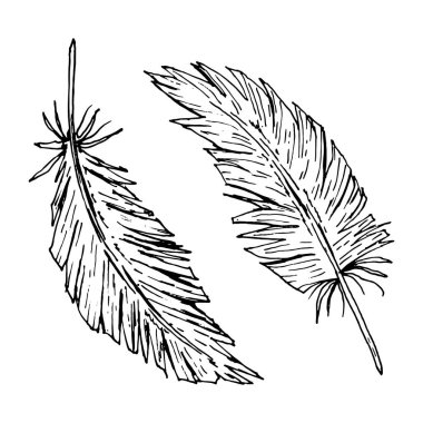 Mürekkep çizgisi tarzında iki tüylü bir el çizimi içeren vektör illüstrasyonu. Kabile dekorasyonu için mükemmel, boho düğün kırtasiyesi, doğadan esinlenilmiş baskılar, çiftlik markaları, ya da etnik temalı tasarım