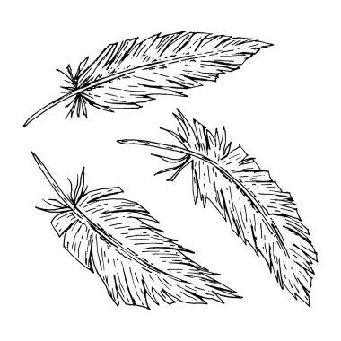 Mürekkep çizgisi tarzında çizilmiş üç el tüyünün vektör çizimi. Kabile temalı projeler, boho düğünleri, kırsal markalar, etnik aksesuarlar, tekstil, doğa baskıları ve parti dekorasyonu için harika.